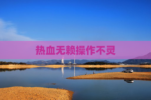 热血无赖操作不灵 热血无赖操作不灵