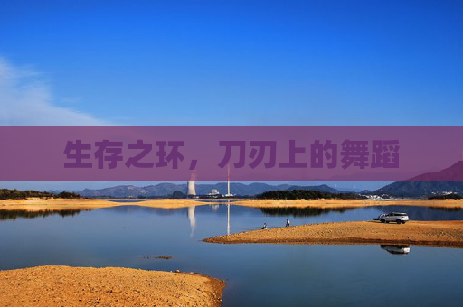 生存之环，刀刃上的舞蹈