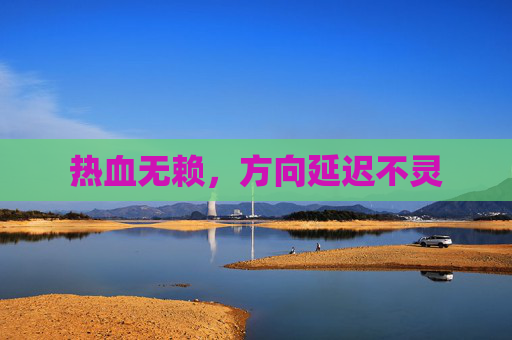 热血无赖,方向延迟不灵 热血无赖,方向延迟不灵