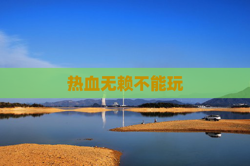 热血无赖不能玩