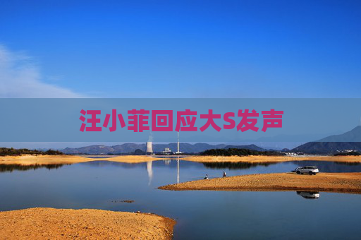 汪小菲回应大S发声 汪小菲回应大S发声