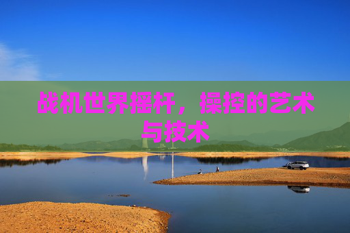 战机世界摇杆,操控的艺术与技术 战机世界摇杆,操控的艺术与技术