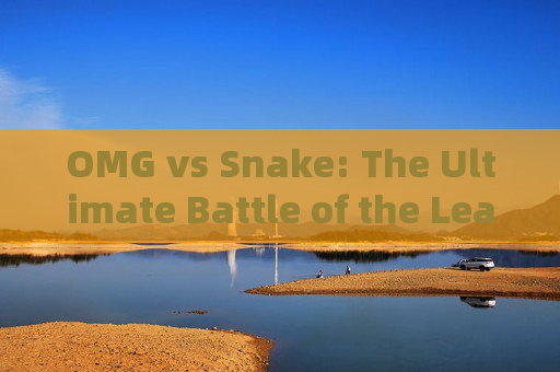 OMG vs Snake: The Ultimate Battle of the League of Legends OMG vs Snake: The Ultimate Battle of the League of Legends