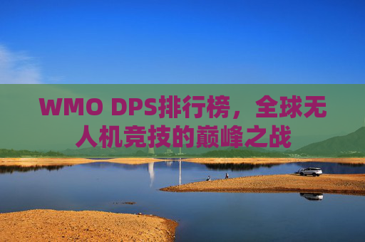 WMO DPS排行榜，全球无人机竞技的巅峰之战