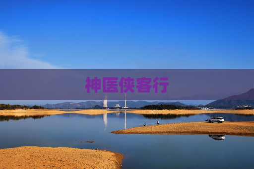 神医侠客行 神医侠客行