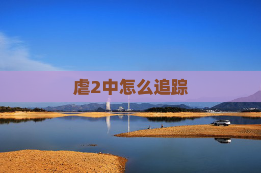 虐2中怎么追踪
