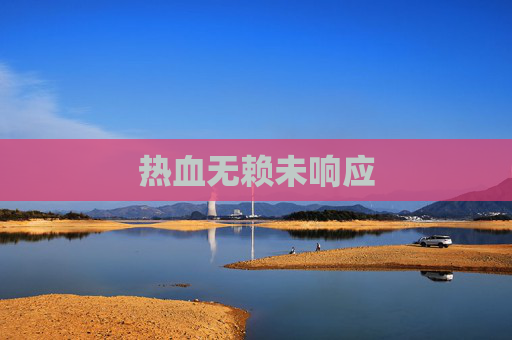热血无赖未响应 热血无赖未响应