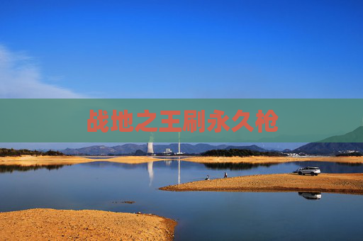 战地之王刷永久枪