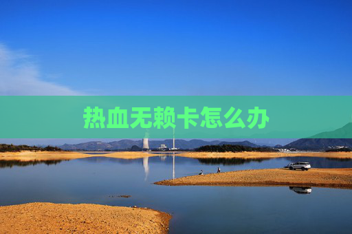 热血无赖卡怎么办 热血无赖卡怎么办