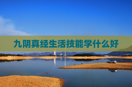 九阴真经生活技能学什么好
