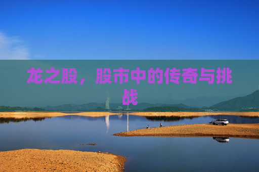 龙之股,股市中的传奇与挑战 龙之股,股市中的传奇与挑战