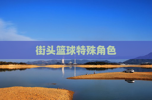 街头篮球特殊角色 街头篮球特殊角色