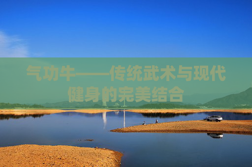 气功牛——传统武术与现代健身的完美结合 气功牛——传统武术与现代健身的完美结合