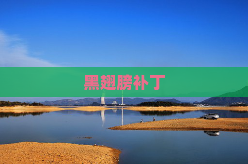 黑翅膀补丁