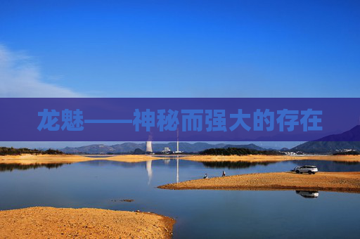 龙魅——神秘而强大的存在 龙魅——神秘而强大的存在