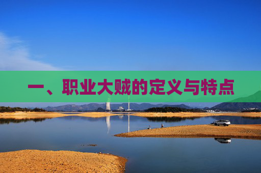 一、职业大贼的定义与特点 一、职业大贼的定义与特点