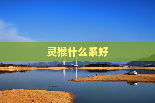 灵猴什么系好 灵猴什么系好