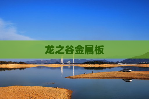 龙之谷金属板 龙之谷金属板