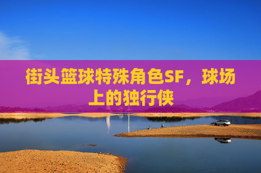 街头篮球特殊角色SF，球场上的独行侠