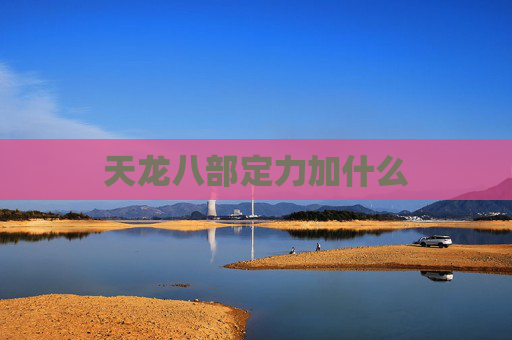 天龙八部定力加什么 天龙八部定力加什么
