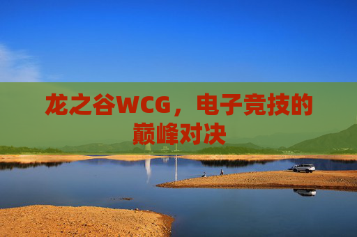 龙之谷WCG,电子竞技的巅峰对决 龙之谷WCG,电子竞技的巅峰对决