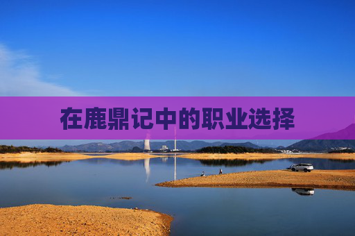 在鹿鼎记中的职业选择