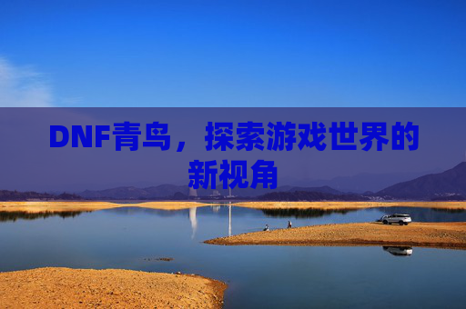 DNF青鸟,探索游戏世界的新视角 DNF青鸟,探索游戏世界的新视角