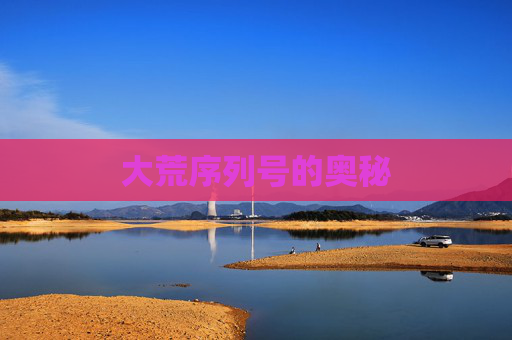 大荒序列号的奥秘 大荒序列号的奥秘