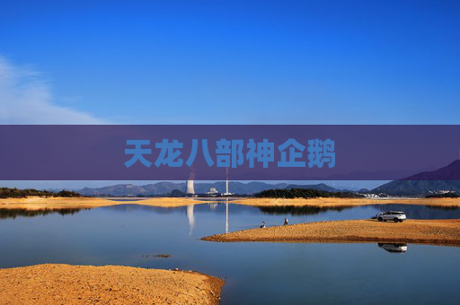 天龙八部神企鹅