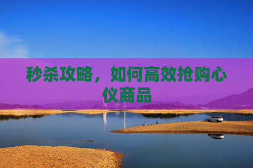 秒杀攻略，如何高效抢购心仪商品