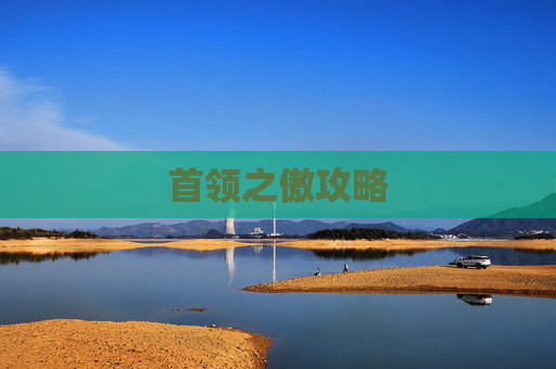 首领之傲攻略 首领之傲攻略