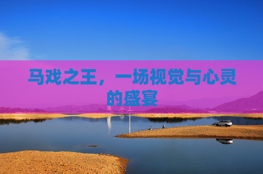 马戏之王，一场视觉与心灵的盛宴