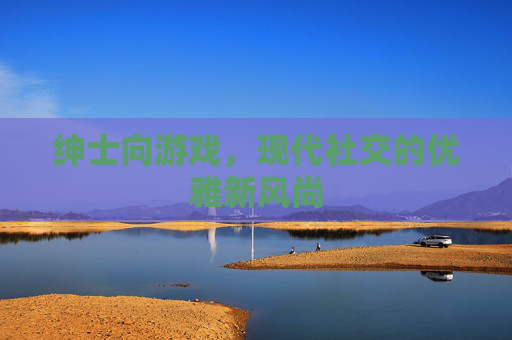 绅士向游戏，现代社交的优雅新风尚