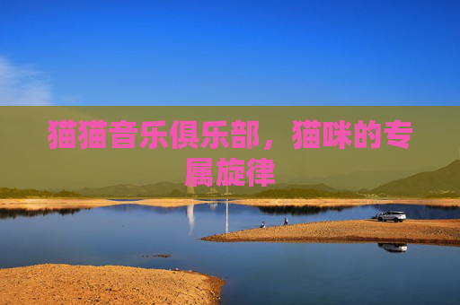 猫猫音乐俱乐部，猫咪的专属旋律