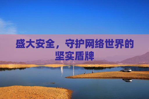 盛大安全,守护网络世界的坚实盾牌 盛大安全,守护网络世界的坚实盾牌