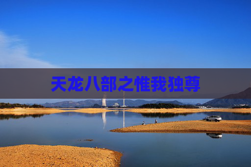 天龙八部之惟我独尊 天龙八部之惟我独尊