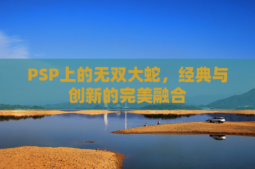 PSP上的无双大蛇,经典与创新的完美融合 PSP上的无双大蛇,经典与创新的完美融合