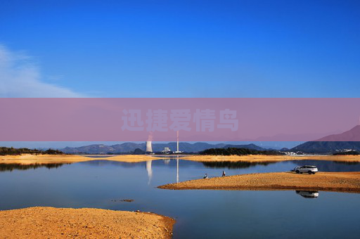 迅捷爱情鸟 迅捷爱情鸟