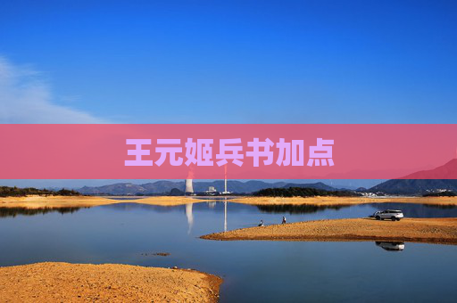 王元姬兵书加点 王元姬兵书加点