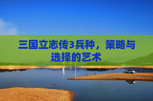 三国立志传3兵种，策略与选择的艺术