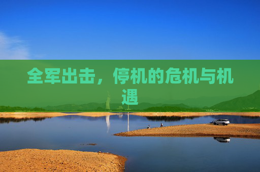 全军出击,停机的危机与机遇 全军出击,停机的危机与机遇