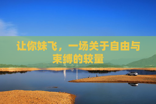 让你妹飞,一场关于自由与束缚的较量 让你妹飞,一场关于自由与束缚的较量