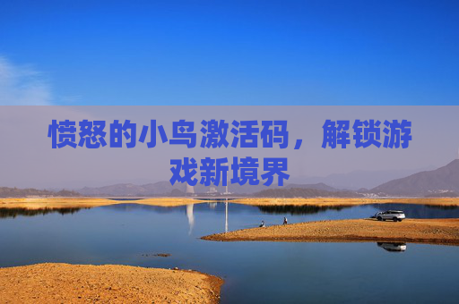 愤怒的小鸟激活码，解锁游戏新境界