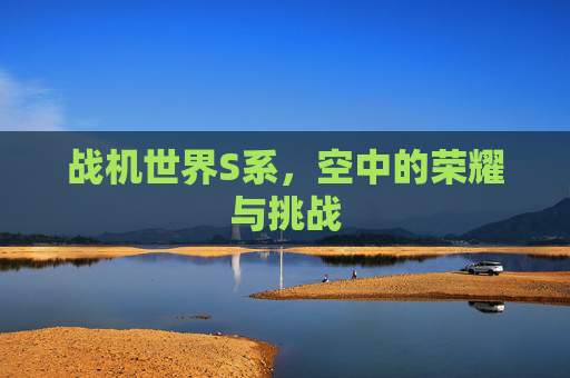 战机世界S系,空中的荣耀与挑战 战机世界S系,空中的荣耀与挑战