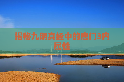 揭秘九阴真经中的唐门3内属性 揭秘九阴真经中的唐门3内属性