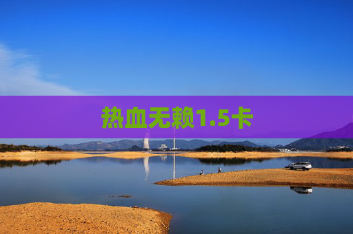 热血无赖1.5卡 热血无赖1.5卡