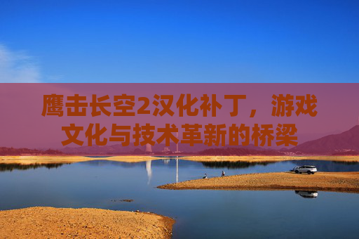 鹰击长空2汉化补丁,游戏文化与技术革新的桥梁 鹰击长空2汉化补丁,游戏文化与技术革新的桥梁