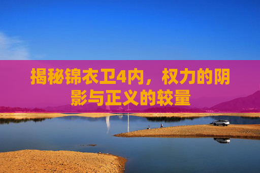 揭秘锦衣卫4内，权力的阴影与正义的较量