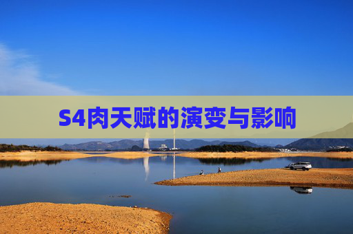 S4肉天赋的演变与影响 S4肉天赋的演变与影响