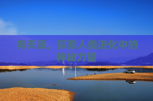 肉天赋,探索人类进化中的神秘力量 肉天赋,探索人类进化中的神秘力量